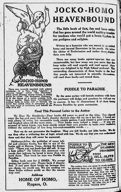 advert3.jpg